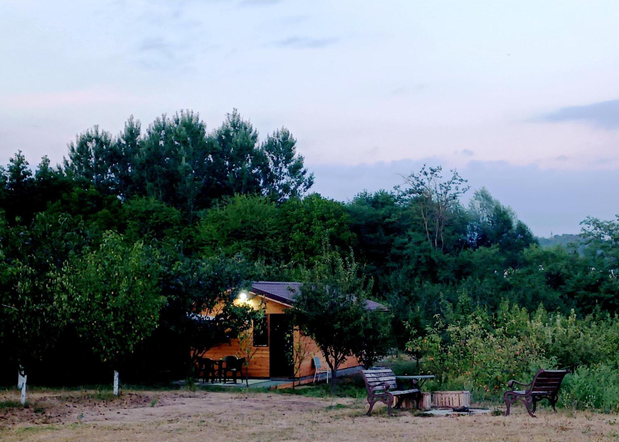 La Livada Villa Valea Danului ภายนอก รูปภาพ